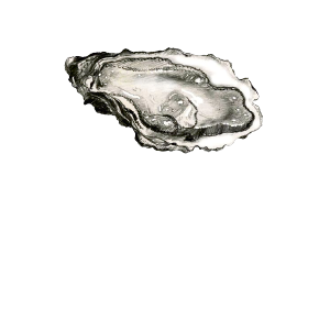 L'Huître de Maudez